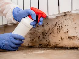 Best Mold Prevention Services  in Toppers, OK